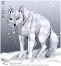 Kiba the wolf who seek for Paradise